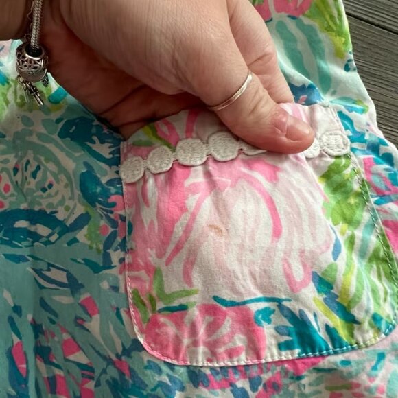 Lilly Pulitzer dress - Picture 4 of 4